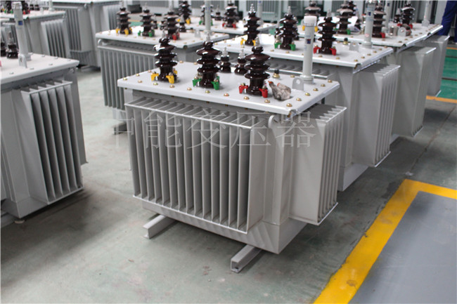 五指山S22-100KVA/10KV/0.4KV变压器